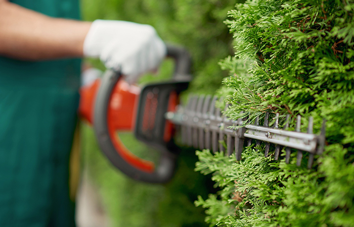 trimming